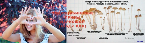 таблы Алексин