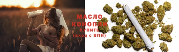 гашик Арсеньев