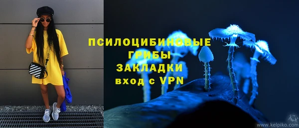 a pvp Аркадак