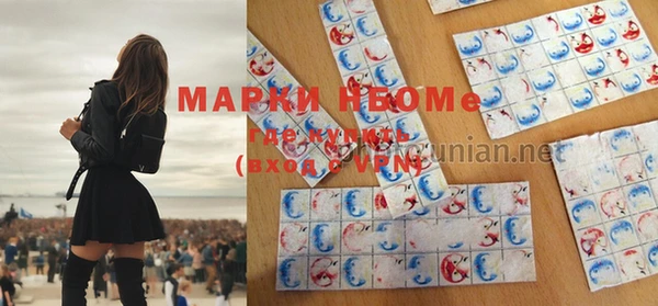 гашик Арсеньев