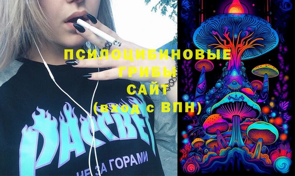 гашик Арсеньев