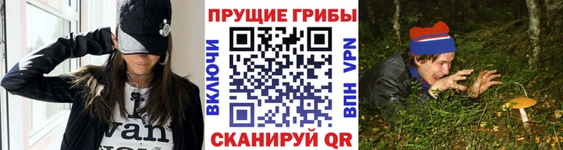 где продают   Бокситогорск  Псилоцибиновые грибы Psilocybe 